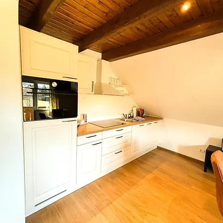 Schwarzwald-chalet * Feldberg (Baden-Wurttemberg)