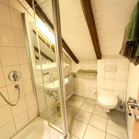 Schwarzwald-chalet * Feldberg (Baden-Wurttemberg)