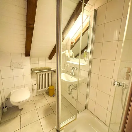 Διαμέρισμα Schwarzwald-chalet *