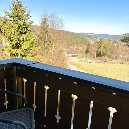 Schwarzwald-chalet * Feldberg (Baden-Wurttemberg)