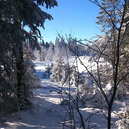 Schwarzwald-chalet Apartment