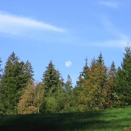 Schwarzwald-chalet Διαμέρισμα Feldberg (Baden-Wurttemberg)