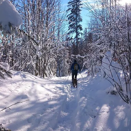 Apartment Schwarzwald-chalet Feldberg (Baden-Wurttemberg)
