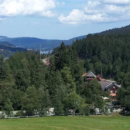 Schwarzwald-chalet Διαμέρισμα