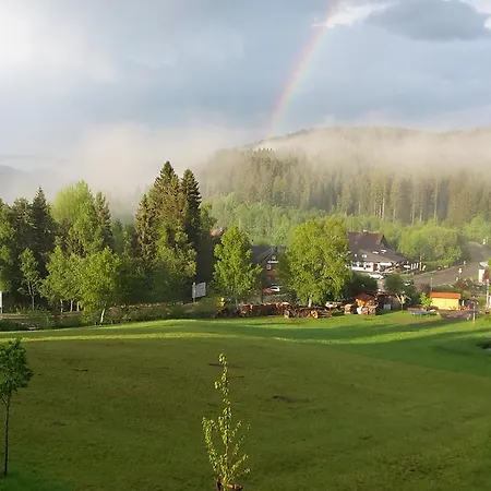 Apartment Schwarzwald-chalet Feldberg (Baden-Wurttemberg)